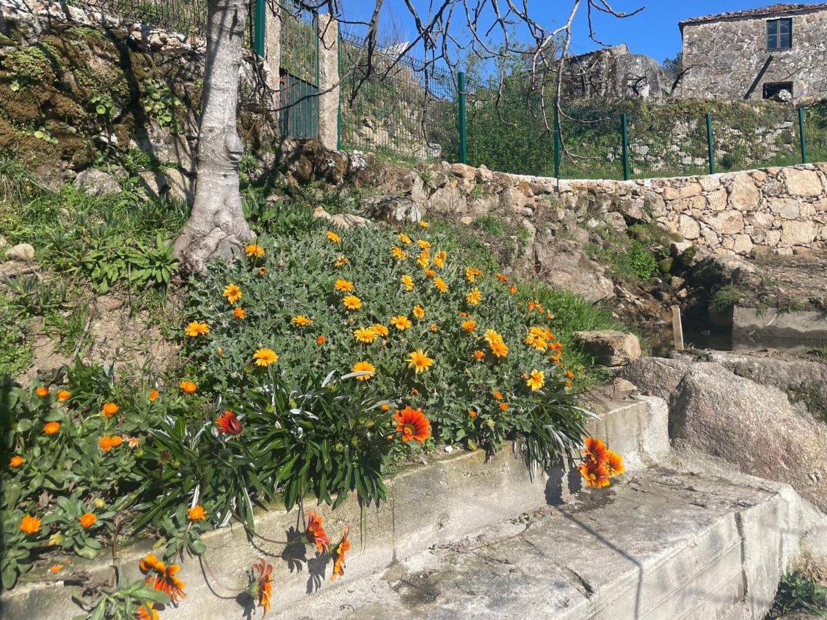Quintinha De Pinouco Βίλα Resende Εξωτερικό φωτογραφία